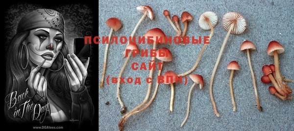 прущий лед Вязьма