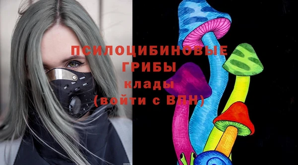 гидра Тавда